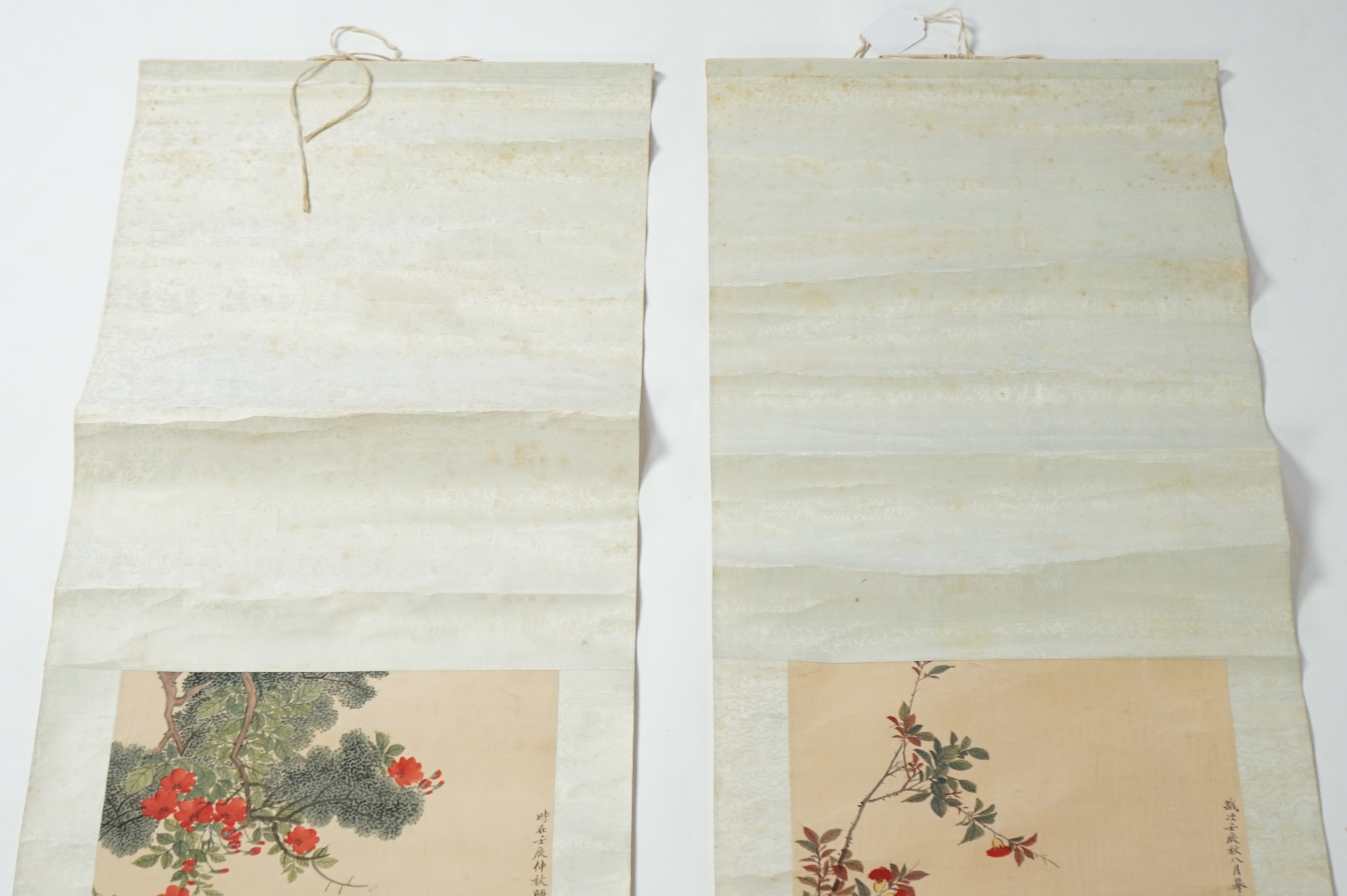 Chinese School, late 19th century, a pair of scroll paintings on silk of birds